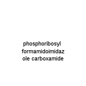 phosphoribosyl formamidoimidazole carboxamide